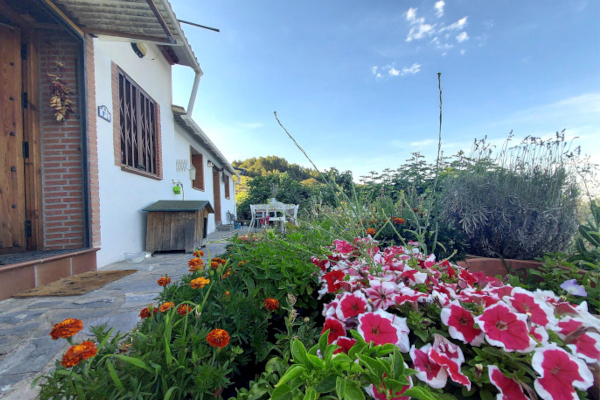 cortijo de la plata casita