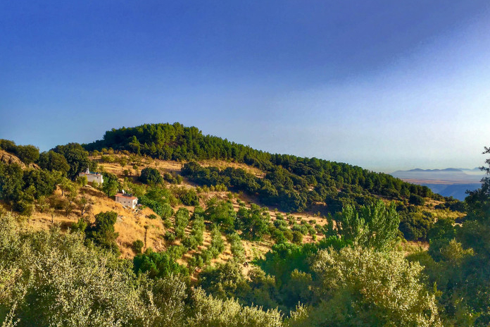 cortijo de la plata