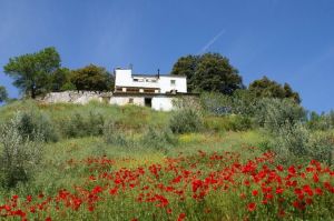 Spring at the Cortijo