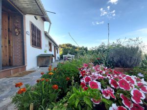Casita outside