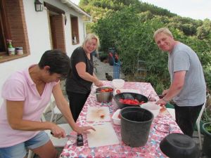 Canning tomatoes