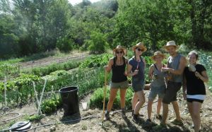 Working in the Huerta