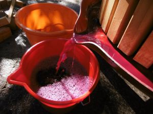 Pressing the Grapes