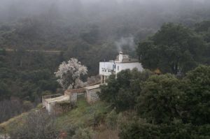 Winter at the Cortijo