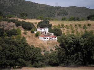 The farm from a distance