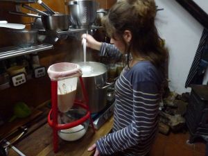 Making Cheese