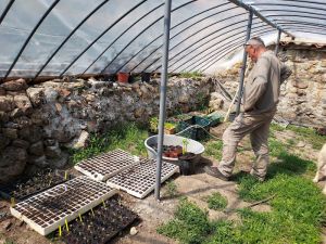 Greenhouse
