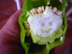 A happy Pepper