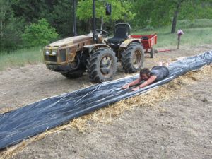 Waterslide