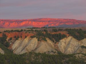 Landscape View