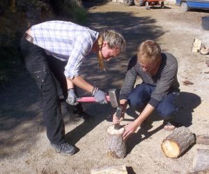 Splitting Wood