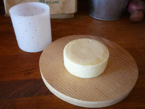 cheese3