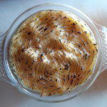 shepherd's pie